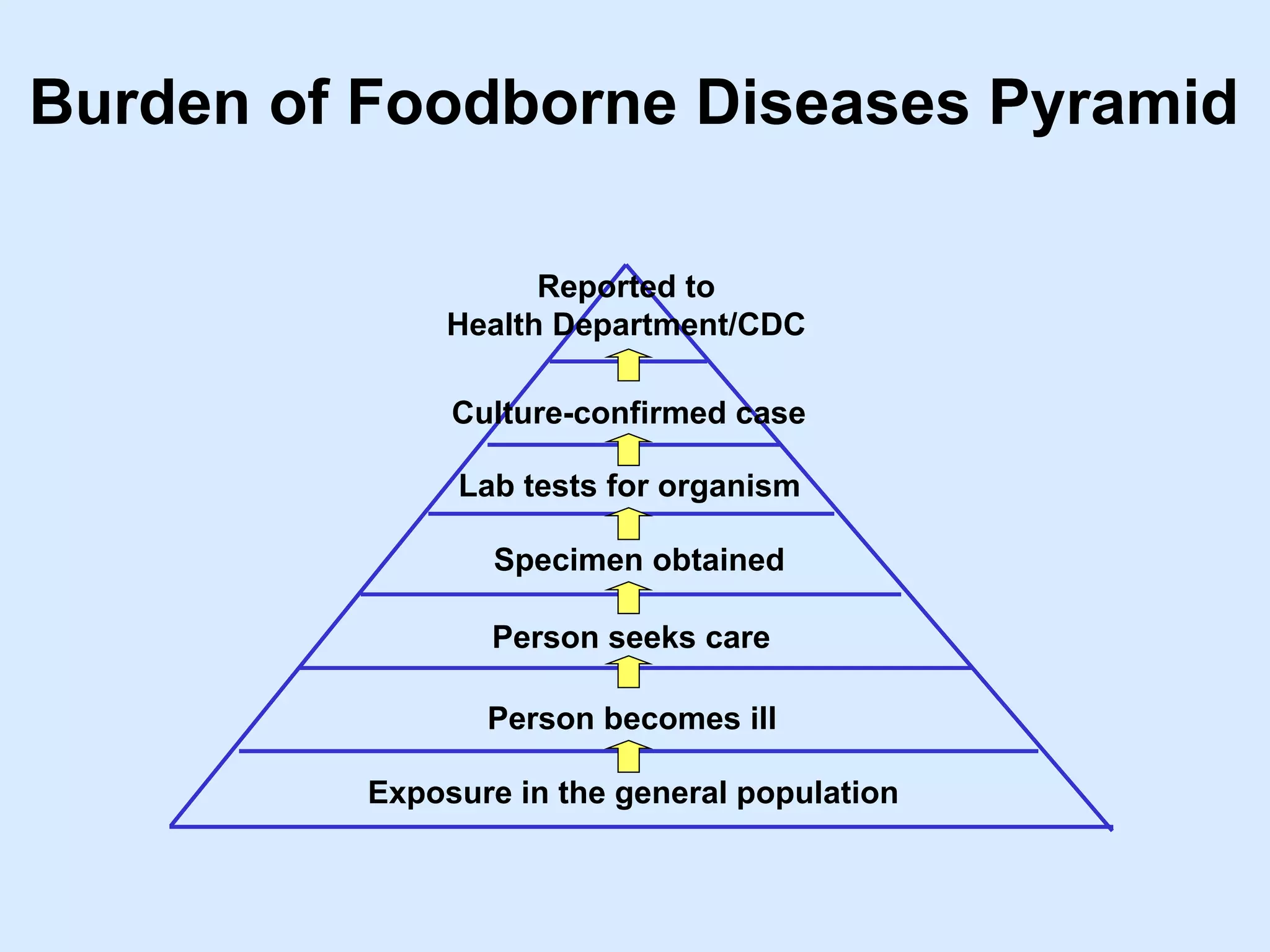 Burden of Foodborne Diseases Pyramid
Exposure in the general population
Person becomes ill
Person seeks care
Specimen obtained
Culture-confirmed case
Reported to
Health Department/CDC
Lab tests for organism
 