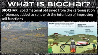 Biochar&Beneficials | PDF