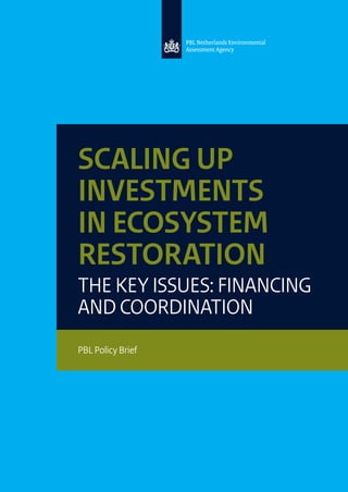 SCALING UP
INVESTMENTS
IN ECOSYSTEM
RESTORATION
THE KEY ISSUES: FINANCING
AND COORDINATION
PBL Policy Brief
 