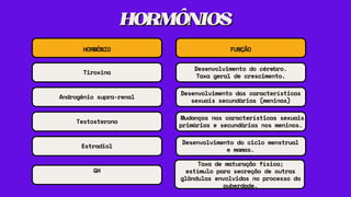 HORMÔNIOS
HORMÔNIOS
HORMÔNIO FUNÇÃO
Tiroxina
Desenvolvimento do cérebro.
Taxa geral de crescimento.
Androgênio supra-renal
Desenvolvimento das características
sexuais secundárias (meninas)
Testosterona
Mudanças nas características sexuais
primárias e secundárias nos meninos.
Estradiol
Desenvolvimento do ciclo menstrual
e mamas.
GH
Taxa de maturação física;
estímulo para secreção de outras
glândulas envolvidas no processo da
puberdade.
 
