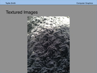 Taylla Smith Computer GraphicsTaylla Smith Computer Graphics
Textured Images
 