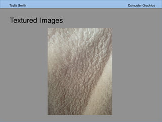 Taylla Smith Computer GraphicsTaylla Smith Computer Graphics
Textured Images
 