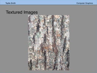 Taylla Smith Computer GraphicsTaylla Smith Computer Graphics
Textured Images
 