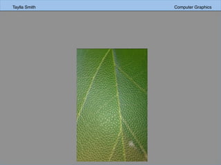 Taylla Smith Computer Graphics
 