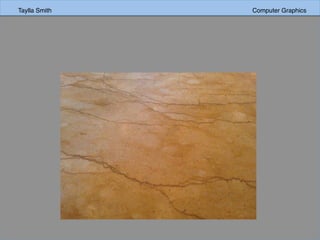 Taylla Smith Computer Graphics
 