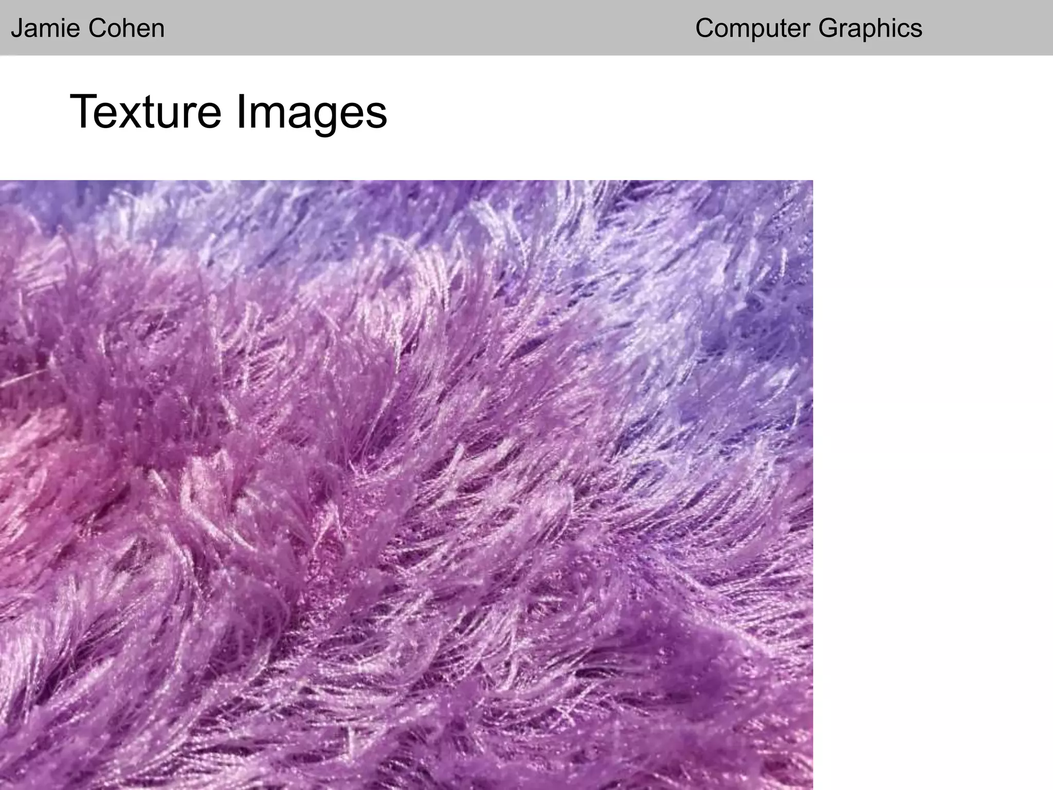 Jamie Cohen Computer Graphics
Texture Images
 
