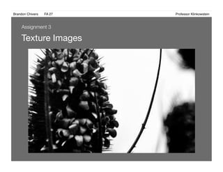 Brandon Chivers ! FA 27! ! ! ! ! ! ! ! ! ! ! ! ! Professor Klinkowstein!
Texture Images 
Assignment 3
 
