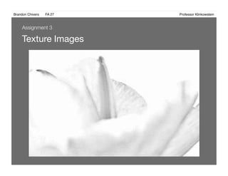 Brandon Chivers ! FA 27! ! ! ! ! ! ! ! ! ! ! ! ! Professor Klinkowstein!
Texture Images 
Assignment 3
 