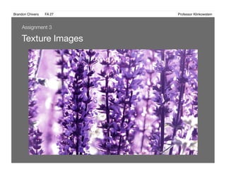 Brandon Chivers ! FA 27! ! ! ! ! ! ! ! ! ! ! ! ! Professor Klinkowstein!
Texture Images 
Assignment 3
 