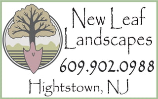 New Leaf
Landscapes
Hightstown, NJ
609.902.0988
 