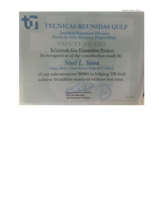 Resume of Noel L. Sison
 