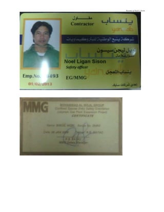 Resume of Noel L. Sison
 