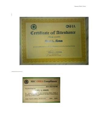 Resume of Noel L. Sison
 