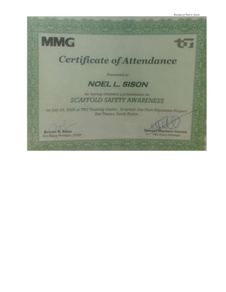 Resume of Noel L. Sison
 