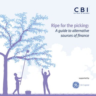 Ripe for the picking:
A guide to alternative
sources of finance
supported by
 
