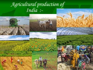 Agricultural production of
India :-
 