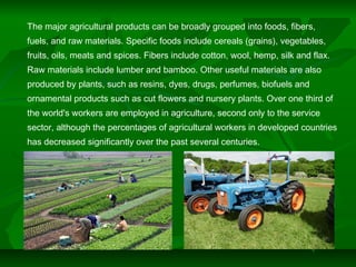 The major agricultural products can be broadly grouped into foods, fibers,
fuels, and raw materials. Specific foods include cereals (grains), vegetables,
fruits, oils, meats and spices. Fibers include cotton, wool, hemp, silk and flax.
Raw materials include lumber and bamboo. Other useful materials are also
produced by plants, such as resins, dyes, drugs, perfumes, biofuels and
ornamental products such as cut flowers and nursery plants. Over one third of
the world's workers are employed in agriculture, second only to the service
sector, although the percentages of agricultural workers in developed countries
has decreased significantly over the past several centuries.
 