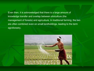 Even then, it is acknowledged that there is a large amount of
knowledge transfer and overlap between silviculture (the
management of forests) and agriculture. In traditional farming, the two
are often combined even on small landholdings, leading to the term
agroforestry.
 