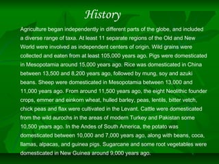 History
Agriculture began independently in different parts of the globe, and included
a diverse range of taxa. At least 11 separate regions of the Old and New
World were involved as independent centers of origin. Wild grains were
collected and eaten from at least 105,000 years ago. Pigs were domesticated
in Mesopotamia around 15,000 years ago. Rice was domesticated in China
between 13,500 and 8,200 years ago, followed by mung, soy and azuki
beans. Sheep were domesticated in Mesopotamia between 13,000 and
11,000 years ago. From around 11,500 years ago, the eight Neolithic founder
crops, emmer and einkorn wheat, hulled barley, peas, lentils, bitter vetch,
chick peas and flax were cultivated in the Levant. Cattle were domesticated
from the wild aurochs in the areas of modern Turkey and Pakistan some
10,500 years ago. In the Andes of South America, the potato was
domesticated between 10,000 and 7,000 years ago, along with beans, coca,
llamas, alpacas, and guinea pigs. Sugarcane and some root vegetables were
domesticated in New Guinea around 9,000 years ago.
 