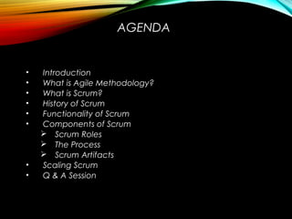 AGENDA
• Introduction
• What is Agile Methodology?
• What is Scrum?
• History of Scrum
• Functionality of Scrum
• Components of Scrum
 Scrum Roles
 The Process
 Scrum Artifacts
• Scaling Scrum
• Q & A Session
 