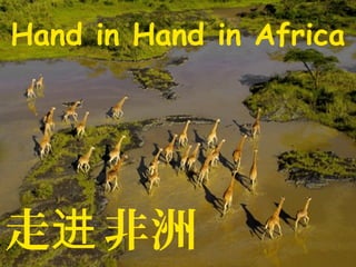 Hand in Hand in Africa
走 非洲进
 