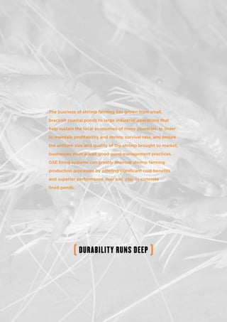 The business of shrimp farming has grown from small,
brackish coastal ponds to large industrial operations that
help sustain the local economies of many countries. In order
to maintain profitability and shrimp survival rate, and ensure
the uniform size and quality of the shrimp brought to market,
businesses must adopt good pond management practices.
GSE lining systems can greatly improve shrimp farming
production processes by offering significant cost benefits
and superior performance over soil, clay or concrete
lined ponds.
 