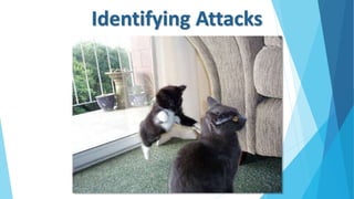 Identifying Attacks
17 | 43
 