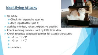 Identifying Attacks
 sp_who2
 Check for expensive queries
 dbcc inputbuffer(spid #)
 Activity monitor, recent expensive queries
 Check running queries. sort by CPU time desc
 Check recently executed queries for attack signatures
 1=1 or ‘1’=‘1’
 1=0 or ‘1’=‘0’
 --
 variations
 