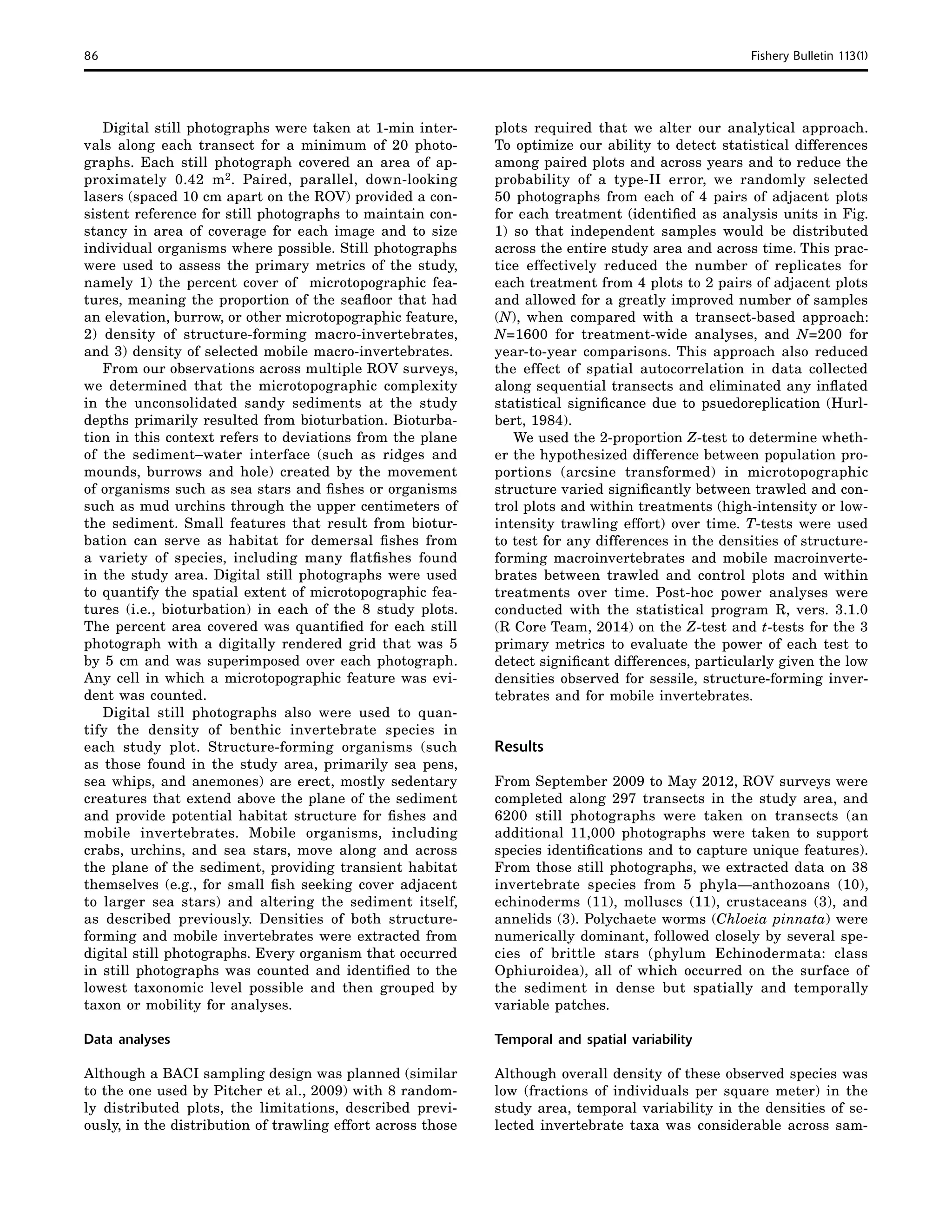 86	 Fishery Bulletin 113(1)
plots required that we alter our analytical approach.
To optimize our ability to detect statistical differences
among paired plots and across years and to reduce the
probability of a type-II error, we randomly selected
50 photographs from each of 4 pairs of adjacent plots
for each treatment (identified as analysis units in Fig.
1) so that independent samples would be distributed
across the entire study area and across time. This prac-
tice effectively reduced the number of replicates for
each treatment from 4 plots to 2 pairs of adjacent plots
and allowed for a greatly improved number of samples
(N), when compared with a transect-based approach:
N=1600 for treatment-wide analyses, and N=200 for
year-to-year comparisons. This approach also reduced
the effect of spatial autocorrelation in data collected
along sequential transects and eliminated any inflated
statistical significance due to psuedoreplication (Hurl-
bert, 1984).
We used the 2-proportion Z-test to determine wheth-
er the hypothesized difference between population pro-
portions (arcsine transformed) in microtopographic
structure varied significantly between trawled and con-
trol plots and within treatments (high-intensity or low-
intensity trawling effort) over time. T-tests were used
to test for any differences in the densities of structure-
forming macroinvertebrates and mobile macroinverte-
brates between trawled and control plots and within
treatments over time. Post-hoc power analyses were
conducted with the statistical program R, vers. 3.1.0
(R Core Team, 2014) on the Z-test and t-tests for the 3
primary metrics to evaluate the power of each test to
detect significant differences, particularly given the low
densities observed for sessile, structure-forming inver-
tebrates and for mobile invertebrates.
Results
From September 2009 to May 2012, ROV surveys were
completed along 297 transects in the study area, and
6200 still photographs were taken on transects (an
additional 11,000 photographs were taken to support
species identifications and to capture unique features).
From those still photographs, we extracted data on 38
invertebrate species from 5 phyla—anthozoans (10),
echinoderms (11), molluscs (11), crustaceans (3), and
annelids (3). Polychaete worms (Chloeia pinnata) were
numerically dominant, followed closely by several spe-
cies of brittle stars (phylum Echinodermata: class
Ophiuroidea), all of which occurred on the surface of
the sediment in dense but spatially and temporally
variable patches.
Temporal and spatial variability
Although overall density of these observed species was
low (fractions of individuals per square meter) in the
study area, temporal variability in the densities of se-
lected invertebrate taxa was considerable across sam-
Digital still photographs were taken at 1-min inter-
vals along each transect for a minimum of 20 photo-
graphs. Each still photograph covered an area of ap-
proximately 0.42 m2. Paired, parallel, down-looking
lasers (spaced 10 cm apart on the ROV) provided a con-
sistent reference for still photographs to maintain con-
stancy in area of coverage for each image and to size
individual organisms where possible. Still photographs
were used to assess the primary metrics of the study,
namely 1) the percent cover of microtopographic fea-
tures, meaning the proportion of the seafloor that had
an elevation, burrow, or other microtopographic feature,
2) density of structure-forming macro-invertebrates,
and 3) density of selected mobile macro-invertebrates.
From our observations across multiple ROV surveys,
we determined that the microtopographic complexity
in the unconsolidated sandy sediments at the study
depths primarily resulted from bioturbation. Bioturba-
tion in this context refers to deviations from the plane
of the sediment–water interface (such as ridges and
mounds, burrows and hole) created by the movement
of organisms such as sea stars and fishes or organisms
such as mud urchins through the upper centimeters of
the sediment. Small features that result from biotur-
bation can serve as habitat for demersal fishes from
a variety of species, including many flatfishes found
in the study area. Digital still photographs were used
to quantify the spatial extent of microtopographic fea-
tures (i.e., bioturbation) in each of the 8 study plots.
The percent area covered was quantified for each still
photograph with a digitally rendered grid that was 5
by 5 cm and was superimposed over each photograph.
Any cell in which a microtopographic feature was evi-
dent was counted.
Digital still photographs also were used to quan-
tify the density of benthic invertebrate species in
each study plot. Structure-forming organisms (such
as those found in the study area, primarily sea pens,
sea whips, and anemones) are erect, mostly sedentary
creatures that extend above the plane of the sediment
and provide potential habitat structure for fishes and
mobile invertebrates. Mobile organisms, including
crabs, urchins, and sea stars, move along and across
the plane of the sediment, providing transient habitat
themselves (e.g., for small fish seeking cover adjacent
to larger sea stars) and altering the sediment itself,
as described previously. Densities of both structure-
forming and mobile invertebrates were extracted from
digital still photographs. Every organism that occurred
in still photographs was counted and identified to the
lowest taxonomic level possible and then grouped by
taxon or mobility for analyses.
Data analyses
Although a BACI sampling design was planned (similar
to the one used by Pitcher et al., 2009) with 8 random-
ly distributed plots, the limitations, described previ-
ously, in the distribution of trawling effort across those
 