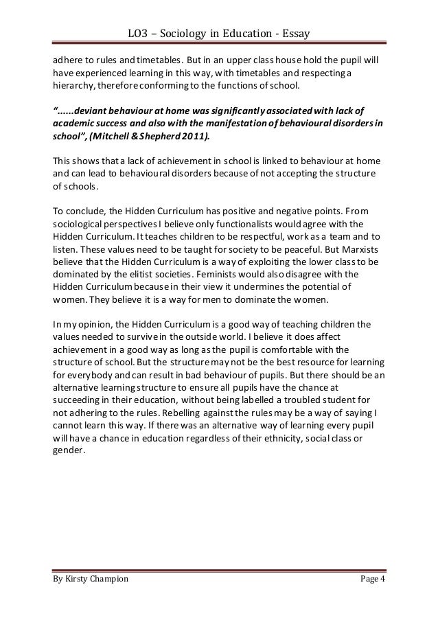 Synthesis essay example picture