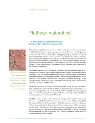 Page 26 On The Edge: British Columbia’s Unprotected Transboundary Species ECOJUSTICE | david suzuki foundation | Conservation Northwest
Appendix 1: Case studies
Flathead watershed
The good, the bad, and the ugly side of
transboundary watershed management
The transboundary Flathead watershed is one of the most pristine remaining river drainages
in the Rocky Mountains and possesses a unique assemblage of carnivores (including wolves,
wolverines, lynx, grizzly bear and marten) and ungulates (including moose, elk and white-tailed
deer) that appears unmatched in North America.83
The Flathead River begins in southeast
British Columbia and flows across the border into northwest Montana where it is know as the
North Fork of the Flathead River. Roughly 40 per cent of this transboundary basin is in B.C.,
and 60 per cent is in Montana. South of the U.S. border, the river forms the western boundary
of the U.S.’ iconic Glacier National Park. However, north of the border in B.C., 97 per cent of
the Flathead is unprotected.84
The Flathead watershed in B.C. contains at least eleven vertebrate species that are at-risk,
including Rocky mountain tailed frogs and bighorn sheep, and likely other species of plants
and insects.85
The U.S. portion of the watershed contains six species listed as endangered or
threatened under the U.S. Endangered Species Act. Wildlife biologists have noted the critical
importance of the Flathead watershed to the surrounding ecosystems, describing it as the
“ecological engine” of the Crown of the Continent Ecosystem (CCE), which is internationally
shared by B.C., Alberta and Montana.86
These three jurisdictions each contain transboundary wildlife species that vary in abundance
from one part of their range to another.87
The Canadian portion of the CCE, especially B.C., is
described as a supporting source, or ‘reservoir’ for populations of wildlife for the CCE, especially
large carnivores and ungulates.88
For example, the Flathead watershed in B.C. has the highest
density of grizzly bears in interior North America.89
The CCE is a key part of the north-south corridor linking natural areas from the U.S. into
Canada. As a result, the North American Commission for Environmental Cooperation (CEC)
has recognized the Yukon/Yellowstone/Sierra Madre Corridor, which contains the CCE, as a
“Priority Conservation Region of North America.”90
Such is the importance of this north-south
corridor, that the Yellowstone to Yukon (Y2Y) Conservation Initiative was created to specifically
promote its protection.91
We recommend that the lower third of B.C.’s Flathead River Valley
be made a national park and the remainder of the Flathead and adjacent habitat become a
Wildlife Management Area. (Figure 8).
The Flathead watershed
in B.C. contains at least
eleven vertebrate species
that are at-risk, including
Rocky mountain tailed
frogs and bighorn sheep.
rocky mountain tailed
frog tadpoles
 
