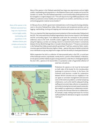 Page 28 On The Edge: British Columbia’s Unprotected Transboundary Species ECOJUSTICE | david suzuki foundation | Conservation Northwest
Many of the species in the Flathead watershed have large area requirements and are highly
mobile, interbreeding with populations in the Waterton-Glacier park complex and across the
Canada–U.S. border. Thus the Flathead watershed is a true transboundary landscape that must
be managed as a single ecological unit.92
This will require ensuring wildlife populations in the
different jurisdictions remain healthy and connected to one another, and that they can move
and exchange genetic material across borders.93
In February of 2010, the B.C. government instituted a ban on all mining and oil and gas develop-
ment in the entire Flathead River Valley. Other extractive and recreational activities such as
logging, road building, hunting and trapping and motorized recreation are set to continue.94
This is an important first step toward permanent protection of the transboundary Flathead and
the CCE. The continued threat of habitat fragmentation due to human impacts in the Flathead
and the surrounding region if not addressed could sever the connection to the protected
wilderness areas to the north. Scientific studies suggest that impacts from human activity
along the highway 3 corridor are creating a barrier to movement and a break in connectivity
between the two World Heritage Sites in Canada’s Rocky Mountains.95
Threats to connectivity
in the Flathead River Valley are particularly for grizzly bear,96
wolf, lynx, wolverine, fisher, marten,
mountain goat and Rocky Mountain bighorn sheep – species that require habitat connectivity
since individuals occupy very large home ranges and have the ability to travel great distances.
While cooperation has led to a collection of interconnected parks in the CCE, a crucial part
of the landscape remains unprotected, namely the B.C. portion of the Flathead. In Montana,
at-risk species and their habitat are given strong protections under the U.S. Endangered Species
Act, but in B.C., species at risk receive little or no protection under a fragmented collection of
weak laws and policies.
Protections for species at risk must be harmonized
on both sides of the border for this transboundary
landscape to continue to thrive. In the future, the
Flathead could become a model for cooperation
between British Columbia and our neighbours if we
can agree on consistent management and overcome
some of the technical problems currently hampering
collaboration, such as the need for adequate funding,
staffing and consistent data collection on populations
and trends (including harmonized research protocols).
Also needed is an agreement on collaborative monitor-
ing, as well as the removal of barriers to collaboration,
for example, simply making travel easier for ministry
staff would allow for attendance at regular cross-border
meetings.97
Figure 8: Proposed Flathead National Park
!
!
!
!
!
Bugaboo
Purcell
Wilderness
Waterton
Lakes
Kootenay
Assiniboine
Yoho
PeterLougheed
Banff
Glacier
Cranbrook
Fernie
Calgary
Proposed
Flathead River Valley
National Park
Proposed Wildlife
Management Area
BULLRIVER
FLATHEAD
RIVER
KOOTENAYRIVER
ELKRIVER
KOOTENAYLAKE
Creston
Kaslo
Washington Montana
IdahoOregon
Alberta
British
Columbia
0 5025 km
[ National Park Provincial Park
Many of the species in the
Flathead watershed have
large area requirements
and are highly mobile,
interbreeding with
populations in the
Waterton-Glacier park
complex and across the
Canada–U.S. border.
 