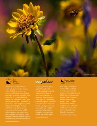 Ecojustice, formerly Sierra
Legal Defence Fund, is
Canada’s leading non-profit
organization of lawyers
and scientists devoted to
protecting the environment.
Since 1990, we have helped
hundreds of groups, coalitions
and communities expose law-
breakers, hold governments
accountable and establish
powerful legal precedents
in defence of our air, water,
wildlife and natural spaces.
www.ecojustice.ca
The David Suzuki Foundation
works with government, business,
and individuals to conserve our
environment through science-based
education, advocacy, and policy work,
and acting as a catalyst for social
change. The Foundation’s main goals
include ensuring that Canada does its
fair share to avoid dangerous climate
change; protecting the diversity
and health of Canada’s marine,
freshwater, and terrestrial wildlife
and ecosystems; and making sure
that Canadians can maintain a high
quality of life within the finite limits of
nature through efficient resource use.
www.davidsuzuki.org
Since 1989, Conservation
Northwest has worked to
connect and protect old
growth forests, wildlands, and
wildlife from the Washington
Coast to the B.C. Rockies.
We work strategically
with B.C. and U.S. allies
on innovative, science-
based solutions to benefit
wildlife and communities
from the Cascades to the
Columbia Mountains.
www.conservationnw.org
photo © Tim Ennis
 