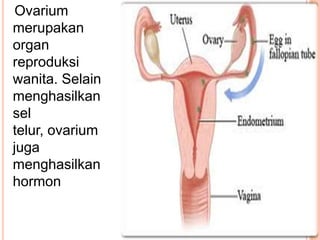 Ovarium
merupakan
organ
reproduksi
wanita. Selain
menghasilkan
sel
telur, ovarium
juga
menghasilkan
hormon
 