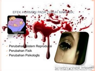 EFEK HORMON PADA TUBUH MANUSIA:
 Perubahan Sistem Reproduksi
 Perubahan Fisik
 Perubahan Psikologis
 