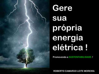 ROBERTO CAMARGO LEITE MOREIRA Gere  sua própria energia elétrica ! Promovendo a  SUSTENTABILIDADE   ! 