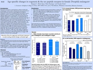 #142 Age-specific changes in oogenesis & the sex peptide receptor in female Drosophila melanogaster
Margaret C. Bloch Qazi,1 Brian Hastings,1 and Claudia Fricke2
1. Gustavus Adolphus College, St. Peter, MN 56082 USA; and 2. Westfälische, Wilhelms-Universität, Münster, Germany
Introduction
Reproductive senescence is characterized as a decline in fertility with
increasing age. A need to better understand the nature and outcomes of
female reproductive senescence on gametogenesis and offspring
development is driven by an increasing awareness that females in natural
populations continue to reproduce as they age and that research on
oogenesis largely focuses on young animals1,2.We used the pomace fly,
Drosophila melanogaster,to explore effects of increasing female age on
oogenesis. Oogenesis is a continuous process in flies with various stages of
egg development occurring simultaneously.Declining fertility with
increasing female age is due, in part, to decreased germline stem cell (GSC)
activity, increased cell death, and changes in oocyte provisioning.3,4 The
relative effects of these processes and their overall contributions to the
progression of oogenesis with increasing female age have not been
described. Some female post-mating responses are mediated by the female
Sex Peptide Receptor (SPR).This receptor, expressed in the female
reproductive tract and CNS, binds the male seminal fluid peptide Sex
Peptide (SP).5 SPR promotes: GSC proliferation, sperm release from
storage, and oviposition.6,7,5 SPR’s role in other aspects of oogenesis is
unknown as is how this role may change with age. Older females show
decreased responsiveness to SP which might be due to changes in SPR
expression or function with increasing age.8
Methods
Results
Question: How do oogenesis and female responses
to male mating stimuli change as females age?
Predictions:
1. If decreasing germline stem cell activity and oocyte provisioning are major
factors in female reproductive senescence, then older females will have
lower ovariole activity.
2. If the female SPR regulates oogenesis, then the number of egg chambers in
young mated females > virgins inWT, but not SPR-/WT and/or SPR- females.
3. If SPR abundance or activity decreases with increasing age, then age-
related changes in ovariole activity of WT >WT/SPR- > SPR- females.
Conclusions
1. Older females have decreased ovariole activity by failing to maintain the
supply of new egg chambers and vitellogenesis.This is consistent with
earlier work showing a decrease in GSC proliferation and protein
homeostasis in older females.
2. In young females, SPR does not appear to have a major influence on
vitellogenesis, but does stimulate release of mature oocytes from the
ovaries reflecting SP-SPR’s role in increased egg laying after mating.
3. SPR mediates some aspects of female oogenesis. SPR promotes
vitellogenesis in older females.This may be due to decreasing influence of
other mechanisms regulating oogenesis or other potential roles of SPR
other than as an SP receptor.
These experiments do not support a role of decreased levels/sensitivity of
SPR in the age-related decline in SPs’ effects on females. These experiments
demonstrate that aging is a dynamic condition that affects multiple aspects of
development and, in turn, is mediated by multiple mechanisms.
Acknowledgements
MBQ and BH thank the FYRE program at Gustavus Adolphus College for summer support. CF was supported by
DFG. Dolors Amoros-Moya provided support with experiments.
Literature Cited
(1) Nussey et al. 2013. Ageing Res Rev. 12:214-225. (2) Miller et al. 2014. Fly 8(3):1-13. (3) Zhao et al. 2008.Aging
Cell. 7:344-354. (4) Fredriksson et al. 2012.Aging Cell. 11:634-643. (5)Yapici et al. 2008. Nature. 451:33-36. (6)
Ameku & Niwa. 2016. PLoS Genet. 12(6): e1006123. (7) Avila et al. 2015. J Insect Physiol. 76:1-6. (8) Fricke et al.
2013. Proc R Soc B 280: 20130428. (9) Cummings & King. 1969. J. Morph.128(4): 427-442. (10) Image from: Miller.
1950. Biology of Drosophila. Cold Spring Harbor Laboratory Press. Cold Spring Harbor: NY.
Pre-vitellogenic
(stages 1-6)
Vitellogenic
(stages 7-12)
Post-vitellogenic
(stages 13 & 14)
1. Older females have lower ovariole activity in
pre-vitellogenic and vitellogenic stages
II. In young females, SPR promotes egg laying
not oogenesis
III. In old females, SPR supports vitellogenesis
2
4
6
8
virgin mated virgin mated virgin mated
Mean	
  #	
  egg	
  chambers/ovariole
0
0.5
1.0
1.5
2.0
2.5
3d 32d 3d 32d 3d 32d
Mean	
  (+1	
  SE)	
  #	
  vitellogenicegg	
  
chambers/ovariole
↓	
  12.3%
n=61,	
  p=0.149
↓	
  19.9%	
  
n=80,	
  p<0.0005
↓	
  41.9%
n=92,	
  p=0.005
Experimental Females
• WT = Dahomey strain
• SPR-/WT = Df(1)Exel6234/Dahomey white strain*
• SPR- = Homozygous Df(1)Exel6234+
* Dahomey strain backcrossed into the white (w1118) strain for 6 generations.
+ derived from Bloomington line #7708 backcrossed into Dahomey strain for 6 generations.
Female (3d or 32d old)
virgin
or
mated
(w/ Dahomey 3d old male)
WT
WT
SPR-/WT
SPR-/WT
SPR-
SPR-
Dissect, count ovarioles & stage
egg chambers (st 1-14)9,10
3d 32d 3d 32d
WT SPR-/WT
1
2
3
4
5
6
7
0
Mean	
  #	
  egg	
  chambers/ovariole
Ovariole number does not differ by mating status or age
An age-related decline in ovariole activity is not due to differences in the
number of ovarioles (age F1,209=0.075, p=0.784). Ovariole number differs by
genotype, but not SPR status (F2,209=8.39, p<0.0005):WT females had
significantly fewer ovarioles (p<0.001) than SPR- and SPR-/WT females (nd).
Pre-­‐
Vitello.-­‐
Post-­‐
Total: F1,53=0.001, p=0.972
Post: F1,53=2.07, p=0.157
Vitello.: F1,53=1.70, p=0.198
Pre: F1,53=1.86, p=0.179
F1,72=27.76, p<0.0005
F1,72=2.07, p=0.155
F1,72=29.66, p<0.0005
F1,72=28.43, p<0.0005
n=40
n=40
n=31 n=30
Age: F1,209=9.72,p<0.0005
24h or 96h
0
Pre-­‐
Vitel.-­‐
Post-­‐*
Post-vitellogenic egg chambers of 3d old females 24h post mating
mating status x SPR status: F2,51=36.99,p<0.0005
t21=2.24
p=0.038
*t4.68=5.63
p=0.003
t18=0.15
p=0.886
There was no difference among genotypes in the number of pre-vitellogenic or
vitellogenic egg chambers.
 