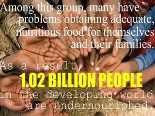 IGCSE Global Perspectives: Food Availability