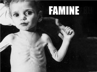 IGCSE Global Perspectives: Food Availability