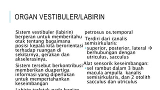 Faal keseimbangan nervus fasialis 2.pptx