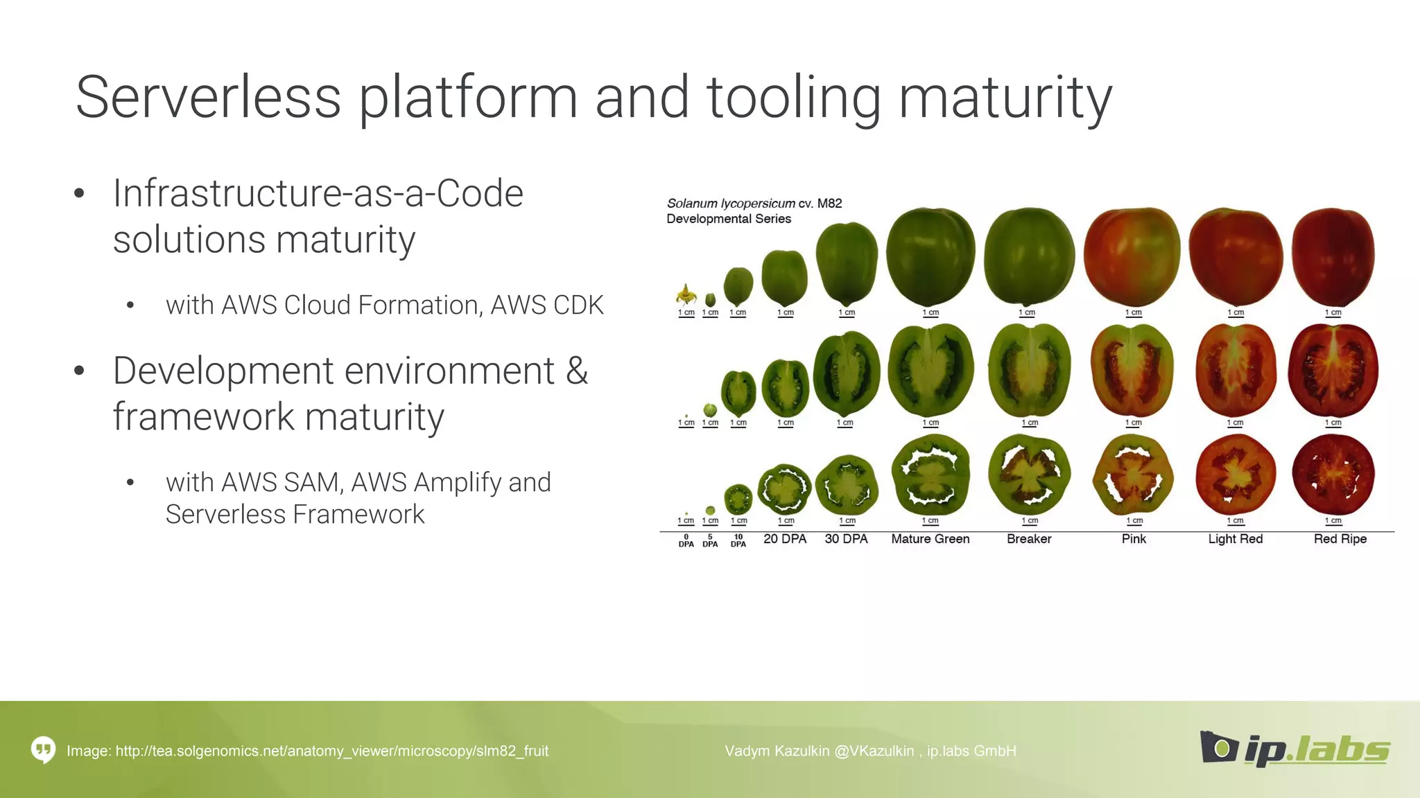 Serverless platform and tooling maturity
• Infrastructure-as-a-Code
solutions maturity
• with AWS Cloud Formation, AWS CDK
• Development environment &
framework maturity
• with AWS SAM, AWS Amplify and
Serverless Framework
Image: http://tea.solgenomics.net/anatomy_viewer/microscopy/slm82_fruit Vadym Kazulkin @VKazulkin , ip.labs GmbH
 