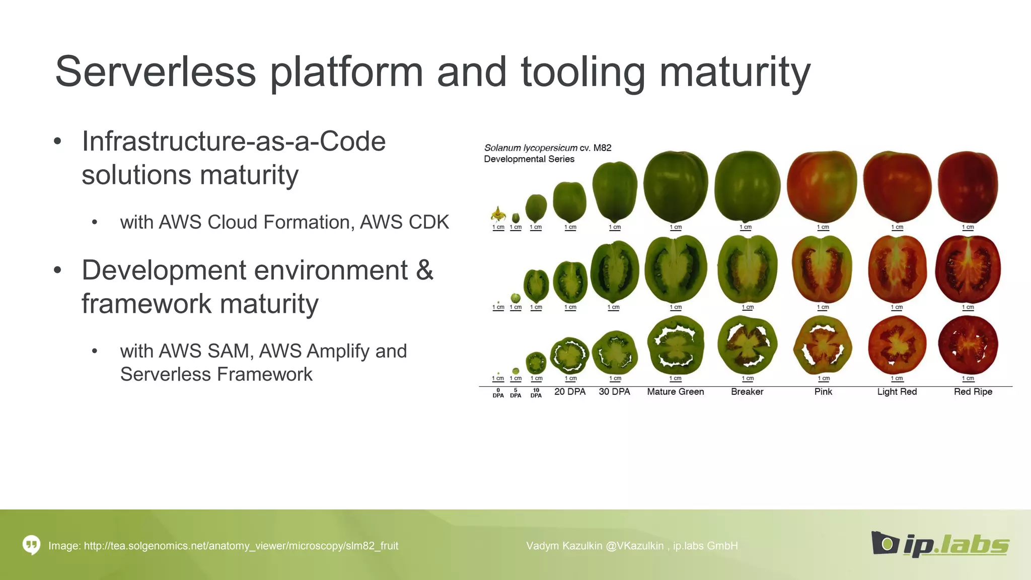 Serverless platform and tooling maturity
• Infrastructure-as-a-Code
solutions maturity
• with AWS Cloud Formation, AWS CDK
• Development environment &
framework maturity
• with AWS SAM, AWS Amplify and
Serverless Framework
Image: http://tea.solgenomics.net/anatomy_viewer/microscopy/slm82_fruit Vadym Kazulkin @VKazulkin , ip.labs GmbH
 