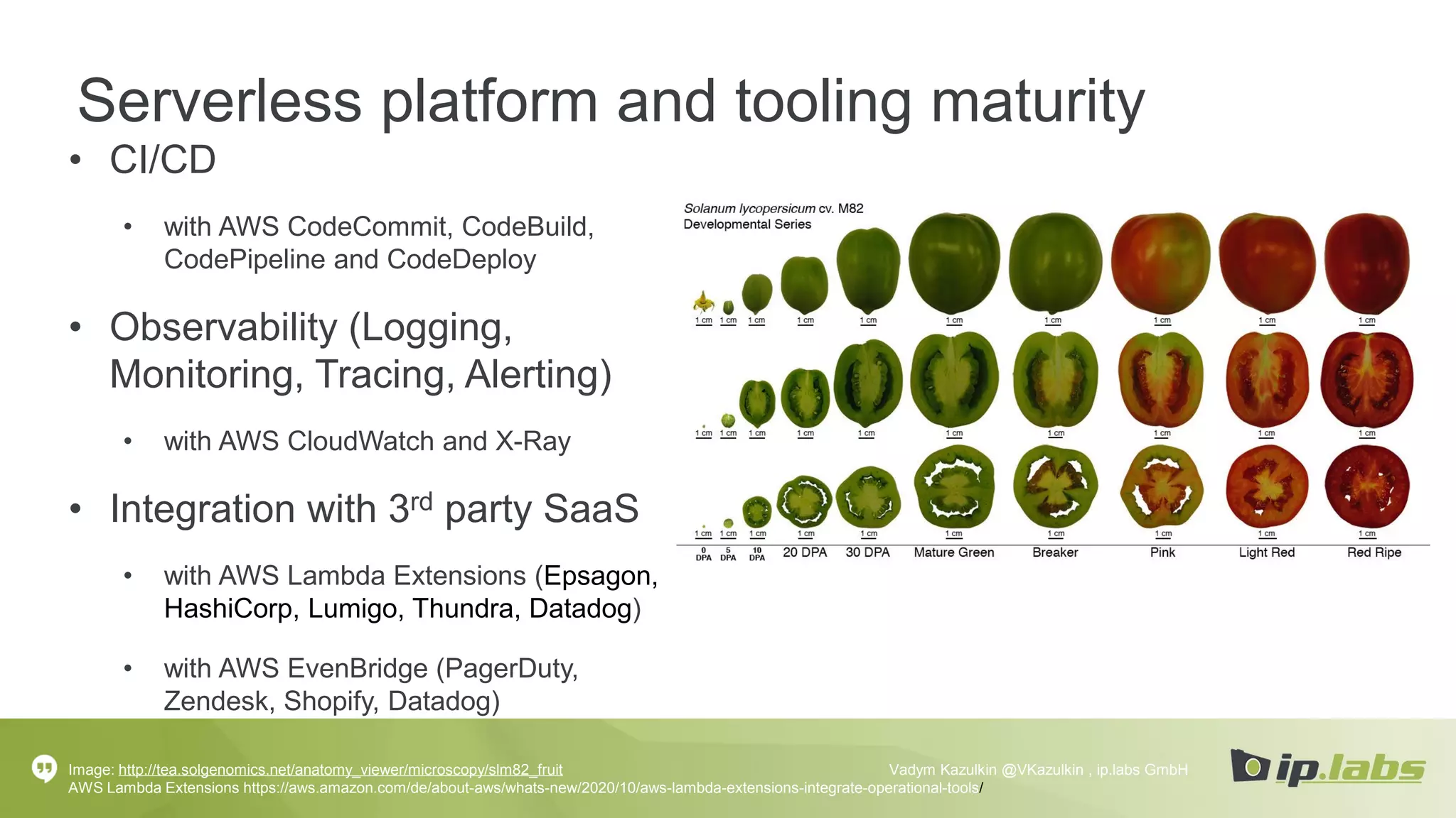 Serverless platform and tooling maturity
• CI/CD
• with AWS CodeCommit, CodeBuild,
CodePipeline and CodeDeploy
• Observability (Logging,
Monitoring, Tracing, Alerting)
• with AWS CloudWatch and X-Ray
• Integration with 3rd party SaaS
• with AWS Lambda Extensions (Epsagon,
HashiCorp, Lumigo, Thundra, Datadog)
• with AWS EvenBridge (PagerDuty,
Zendesk, Shopify, Datadog)
Image: http://tea.solgenomics.net/anatomy_viewer/microscopy/slm82_fruit
AWS Lambda Extensions https://aws.amazon.com/de/about-aws/whats-new/2020/10/aws-lambda-extensions-integrate-operational-tools/
Vadym Kazulkin @VKazulkin , ip.labs GmbH
 