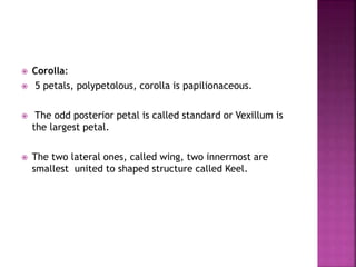  Corolla:
 5 petals, polypetolous, corolla is papilionaceous.
 The odd posterior petal is called standard or Vexillum is
the largest petal.
 The two lateral ones, called wing, two innermost are
smallest united to shaped structure called Keel.
 