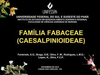 NOVEMBRO DE 2019
CANAÃ DOS CARAJÁS - PA
UNIVERSIDADE FEDERAL DO SUL E SUDESTE DO PARÁ
INSTITUTO DE ESTUDOS EM DESENVOLVIMENTO AGRÁRIO E REGIONAL
FACULDADE DE CIÊNCIAS AGRÁRIAS DE MARABÁ
FAMÍLIA FABACEAE
(CAESALPINIOIDEAE)
Fontenele, A.G.; Braga, D.B.; Silva, F. M.; Rodrigues, L.M.D.;
Lopes, K.; Silva, F.C.P.
 