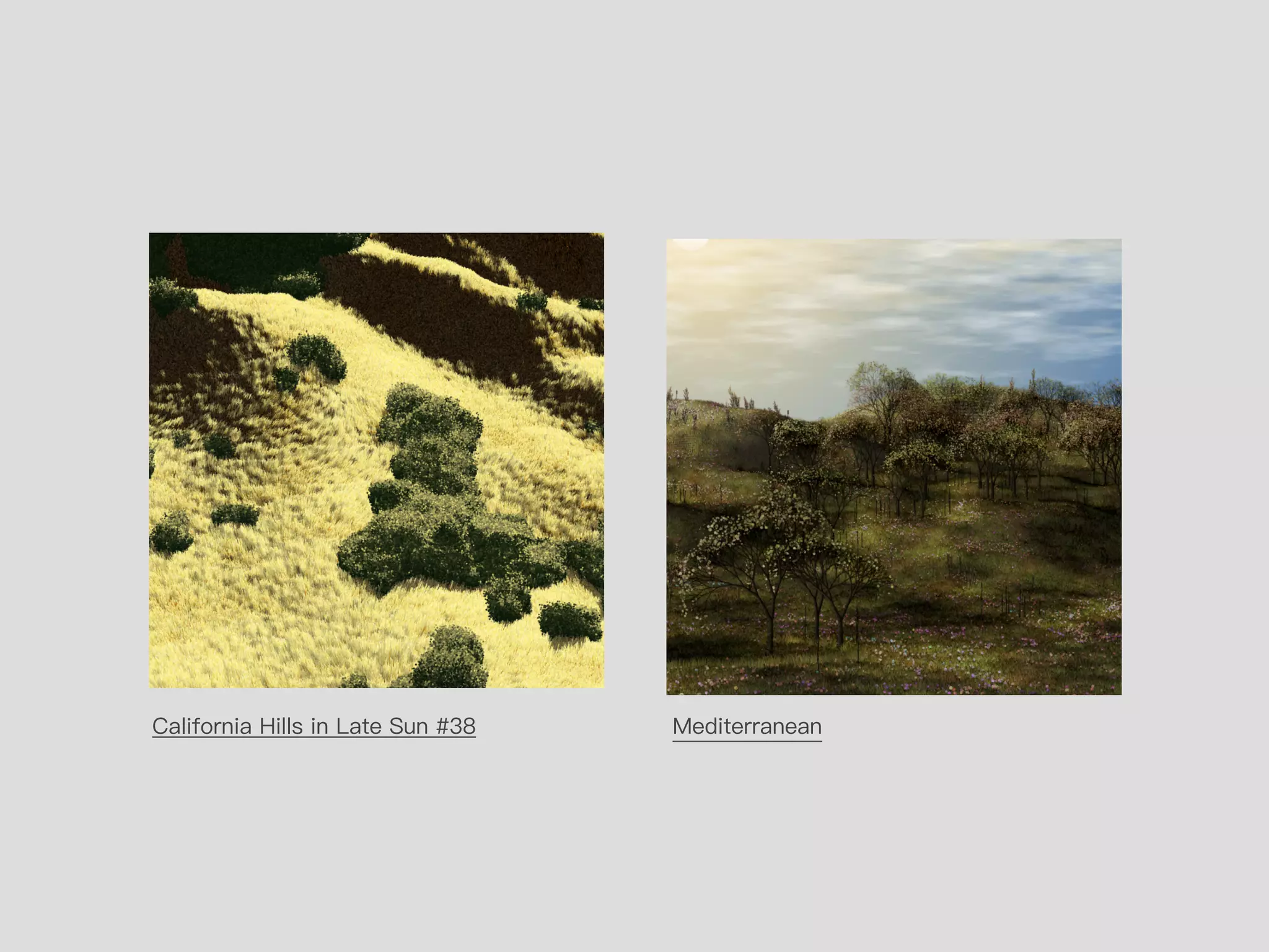 California Hills in Late Sun #38 Mediterranean
 