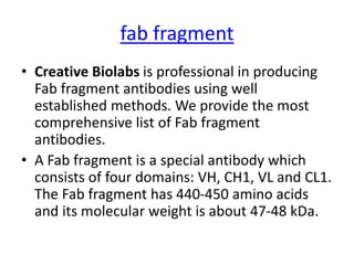 fab fragment
• Creative Biolabs is professional in producing
Fab fragment antibodies using well
established methods. We provide the most
comprehensive list of Fab fragment
antibodies.
• A Fab fragment is a special antibody which
consists of four domains: VH, CH1, VL and CL1.
The Fab fragment has 440-450 amino acids
and its molecular weight is about 47-48 kDa.
 