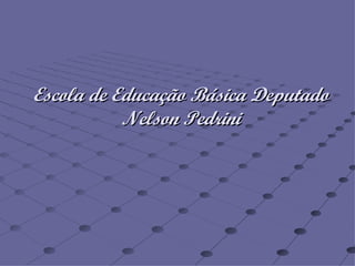 Escola de Educação Básica Deputado Nelson Pedrini 