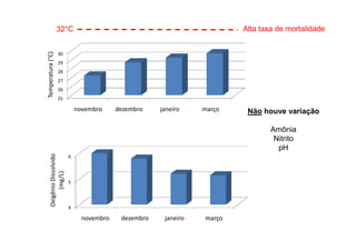 32°C                                                    Alta taxa de mortalidade

Temperatura (°C)   30
                   29
                   28
                   27
                   26
                   25

                               novembro     dezembro    janeiro    março    Não houve variação

                                                                                   Amônia
                                                                                    Nitrito
                                                                                     pH
     Oxigênio Dissolvido




                           6
           (mg/L)




                           5




                           4

                                 novembro    dezembro    janeiro   março
 