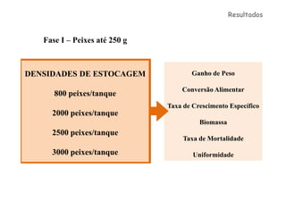 Resultados


   Fase I – Peixes até 250 g



DENSIDADES DE ESTOCAGEM               Ganho de Peso

                                   Conversão Alimentar
      800 peixes/tanque
                               Taxa de Crescimento Específico
     2000 peixes/tanque
                                         Biomassa
     2500 peixes/tanque
                                    Taxa de Mortalidade

     3000 peixes/tanque                Uniformidade
 